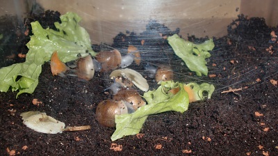 Tierbilder Juli 021.JPG