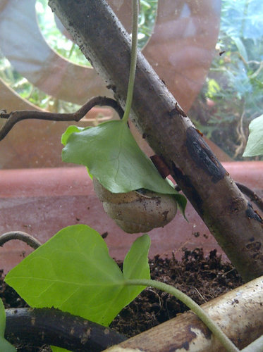 perfekterer Schlafplatz.jpg