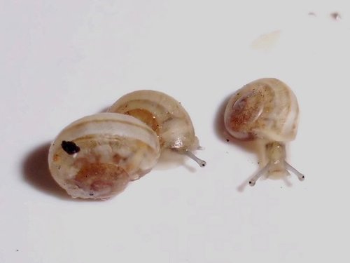 20160809_0661.jpg