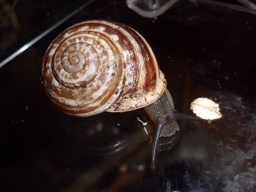 20160810_0675.jpg