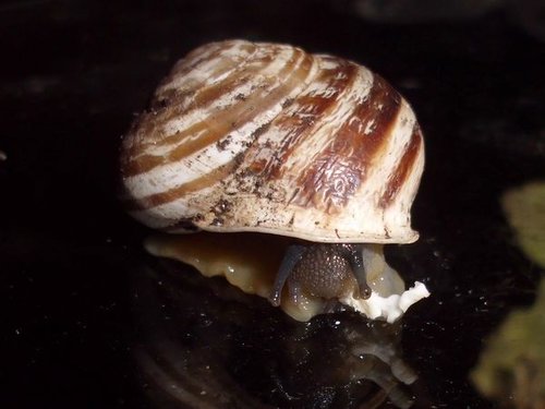 20160810_0677.jpg