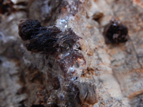 DSCN4427.JPG