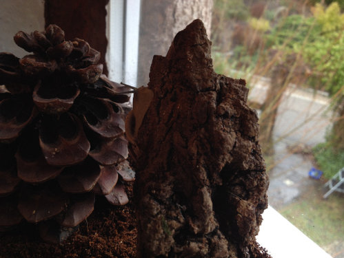 ich komm glaub doch wieder.jpg