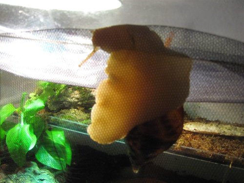 let me out.jpg