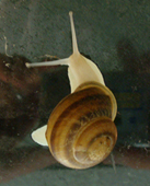 DSC01612.JPG