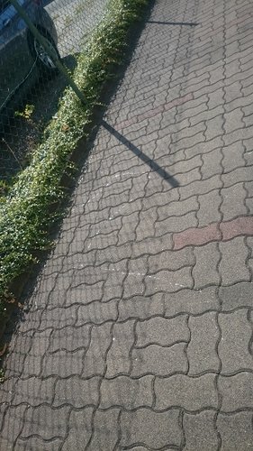 Spur im Hof.jpg