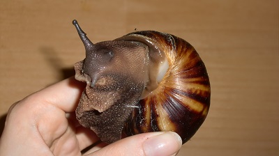Tierbilder August 2016 044.JPG