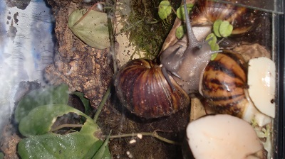 Tierbilder August 2016 111.JPG