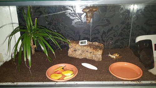 20160910_194054 - Kopie.jpg