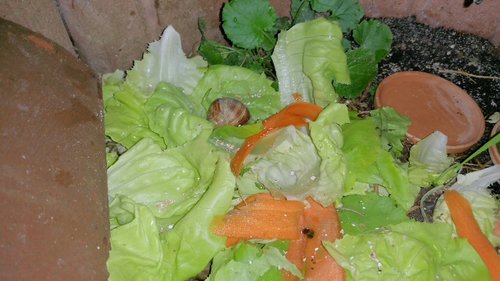 2016-10-01 10.12.50.jpg