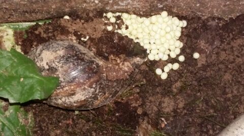 2016-10-18 09.37.13.jpg