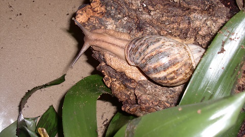 Tierbilder Septemper,Oktober 075.JPG