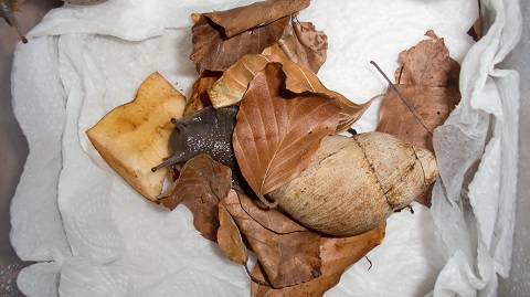 Tierbilder Septemper,Oktober 112.JPG