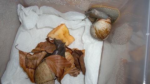 Tierbilder Septemper,Oktober 113.JPG