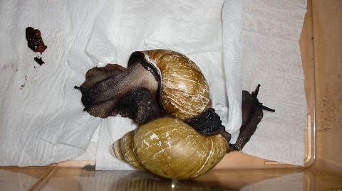 Tierbilder Septemper,Oktober 114.JPG