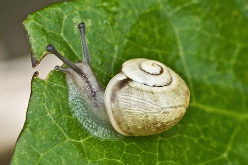 Bild3.jpg