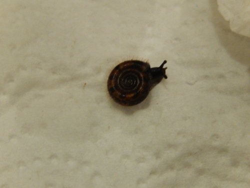 DSCN5002.JPG