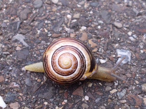 20161017_1752.jpg