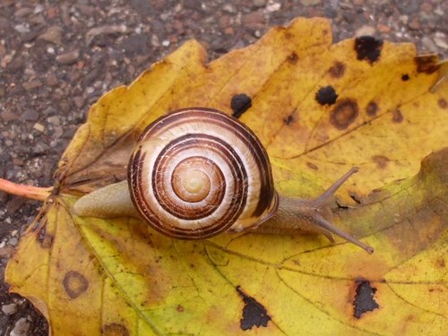 20161017_1753.jpg