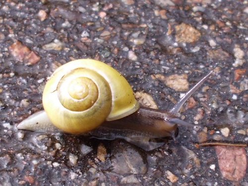 20161018_1781.jpg