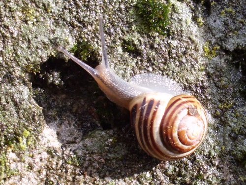 20161018_1782.jpg