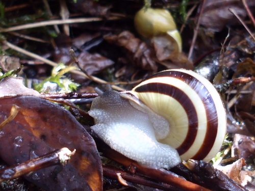 20161018_1783.jpg