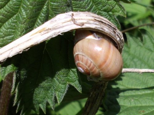 20160503_8887.jpg