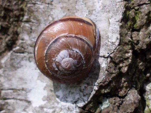20160506_8902.jpg