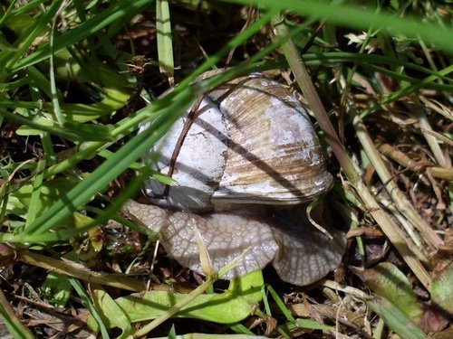 20160525_9168.jpg