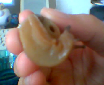 Bild434.jpg