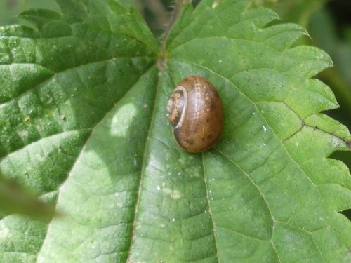 20160616_Segeroth_9545.jpg