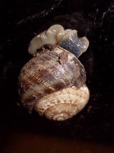 20161206_1995.jpg