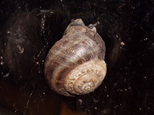 20161231_2032.jpg