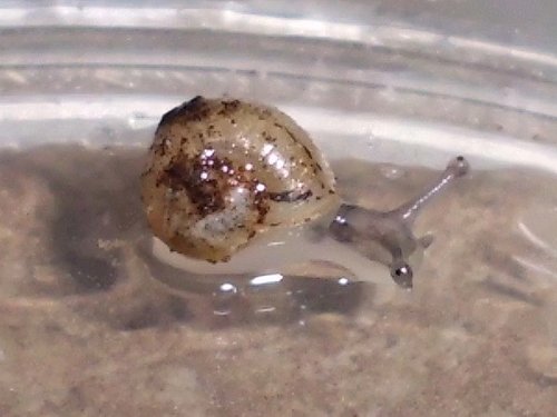 20170127_2163.jpg