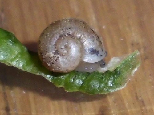 20170131_2171.jpg