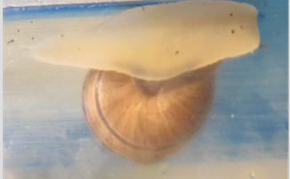 Bildschirmfoto 2017-01-30 um 00.56.07.png