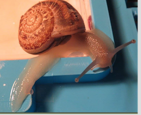 Bildschirmfoto 2017-01-28 um 01.23.49.png