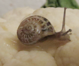 Bildschirmfoto 2017-01-30 um 01.12.50.png