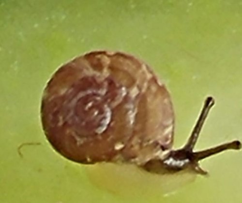 20170206_131916_HDR-1.jpg.jpg