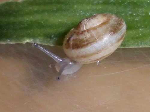 20170211_2199.jpg