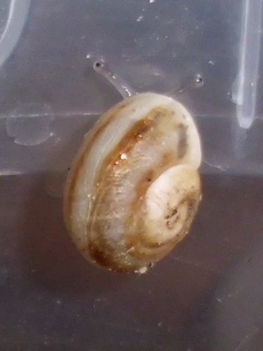 20170216_2212.jpg