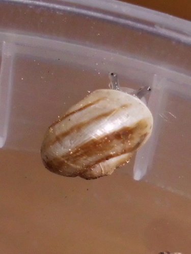 20170216_2214.jpg