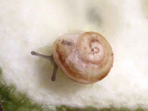 20170216_2217.jpg