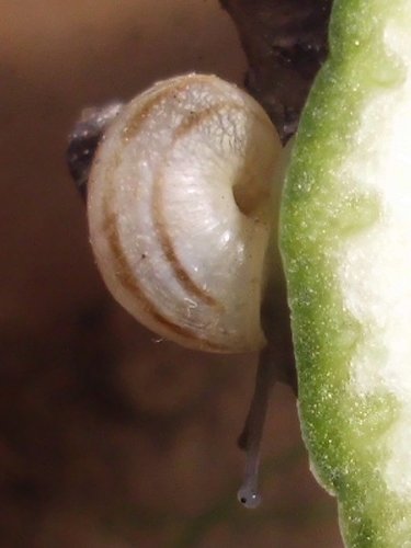 20170216_2219.jpg