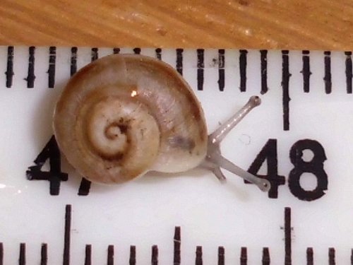 20170222_2229.jpg