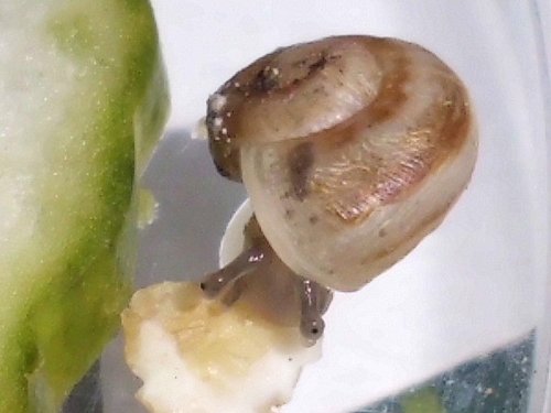 20170222_2234.jpg