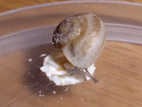 201700225_2253.jpg
