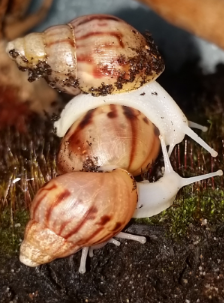 2017-03-05 20.49.04.png