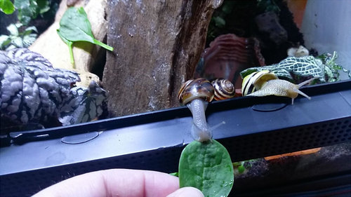 nom2.jpg