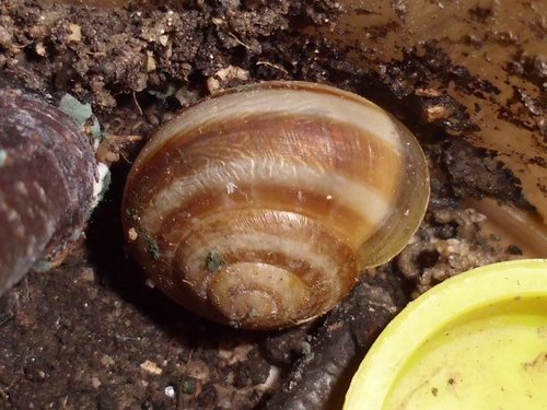 20170321_2406.jpg